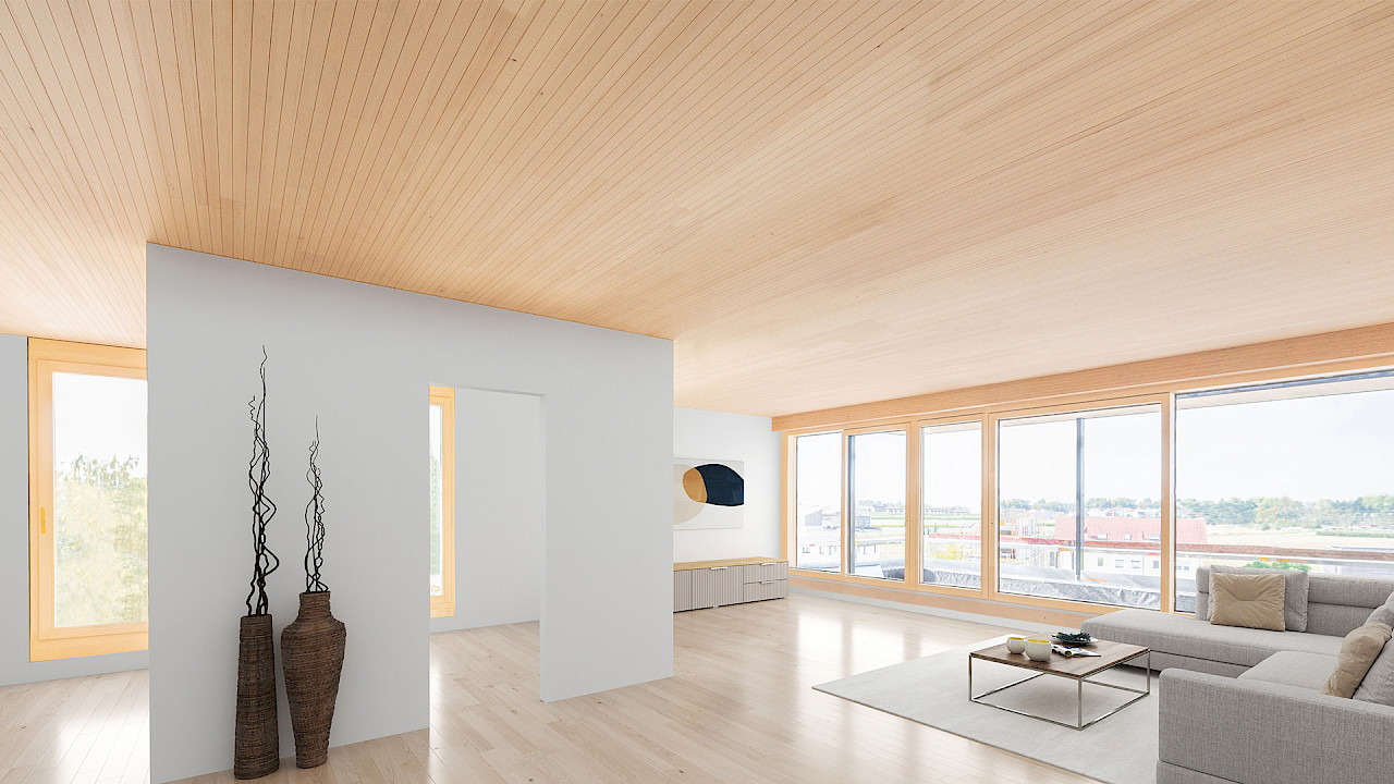 Referenz Schneiderhaus